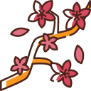 flor de cerezo icon