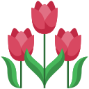 tulipán icon