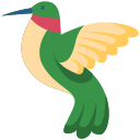 colibrí