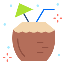 bebida de coco icon