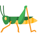 saltamontes icon