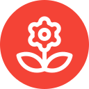 girasol icon