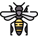 abeja