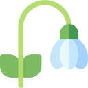 campanilla de febrero icon