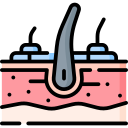 dermatitis seborreica 