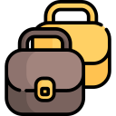 portafolio icon