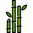 Bamboo 