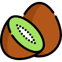 kiwi icon