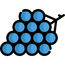 uvas icon