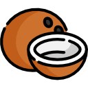 coco icon