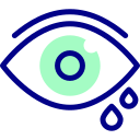 ojo icon