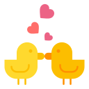 pájaros del amor 