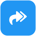 flecha correcta icon