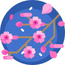 flor de cerezo icon