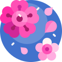 sakura icon