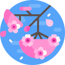 sakura icon