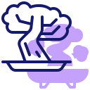 bonsai icon