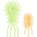 microbio icon