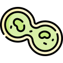 mitosis icon