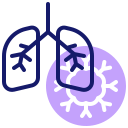 pulmones humanos 