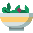 ensalada icon