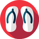 Flip flops icon