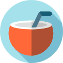 Coconut icon
