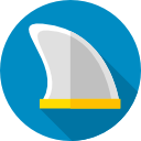 Fin icon
