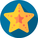 Starfish icon