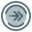 flecha correcta icon