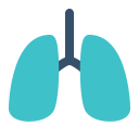 pulmões 