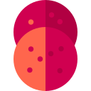 salami icon