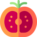 tomate icon