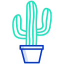 cactus icon