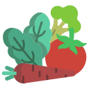 vegetal icon