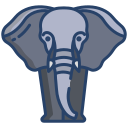 elefante icon