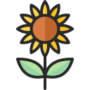 girasol icon