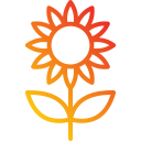 girasol icon