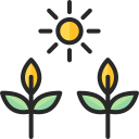 plantas icon