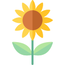 girasol icon