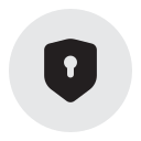 seguridad icon