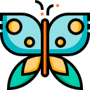 mariposa