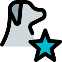 estrella icon