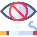 visión icon