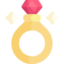 anillo icon