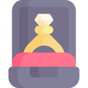 anillo icon