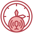 reloj icon