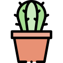 cactus icon