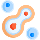 división celular 