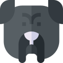 buldog icon